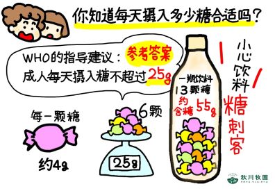 新澳门2024最新饮料大全