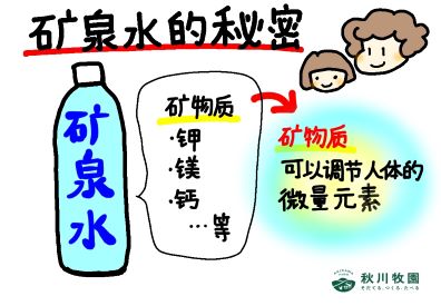 新澳门2024最新饮料大全