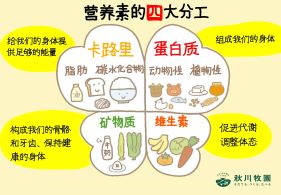 新澳门2024最新饮料大全