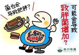 新澳门2024最新饮料大全