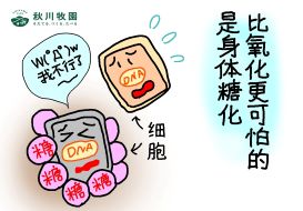 新澳门2024最新饮料大全