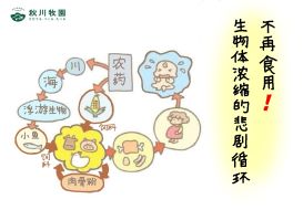 新澳门2024最新饮料大全