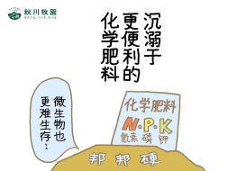 新澳门2024最新饮料大全