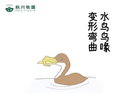 新澳门2024最新饮料大全