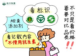 新澳门2024最新饮料大全