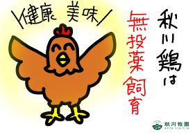 新澳门2024最新饮料大全