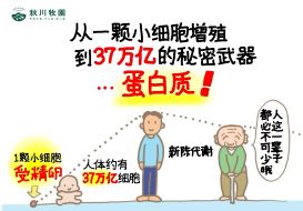 新澳门2024最新饮料大全