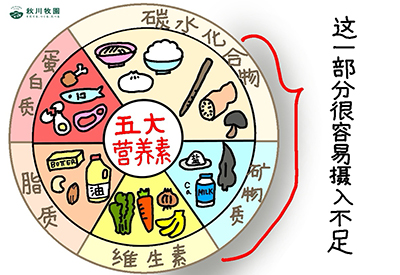 新澳门2024最新饮料大全