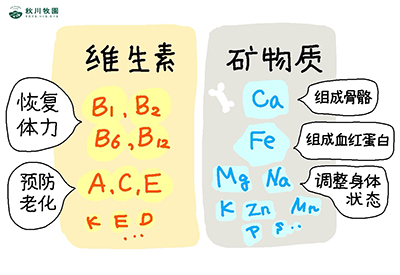 新澳门2024最新饮料大全