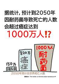 新澳门2024最新饮料大全